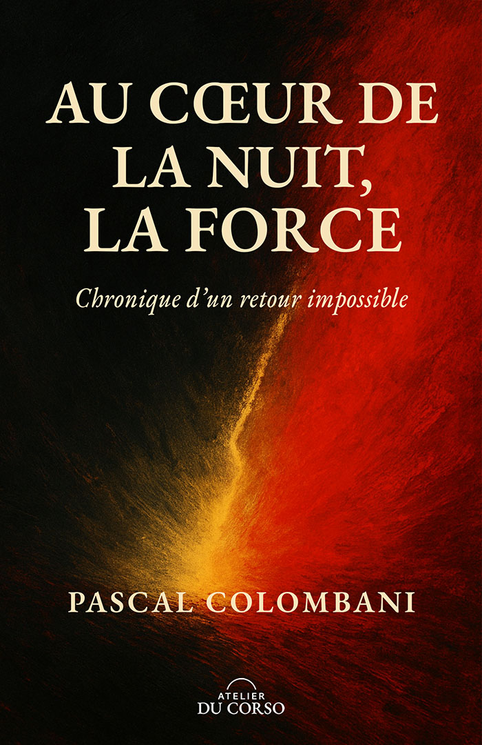 Couverture du livre Au cœur de la nuit, la Force
